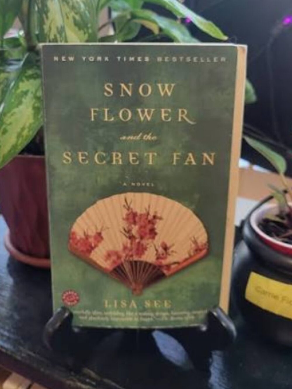 🍍 Book: Snow Flower and the Secret Fan by Lisa See
